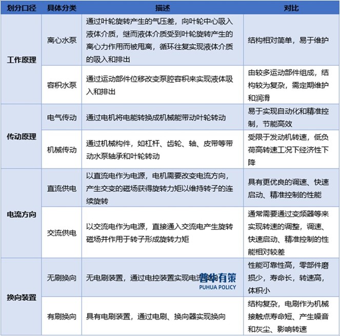 2-241009194P3264.jpg 2-241009194P3264.jpg